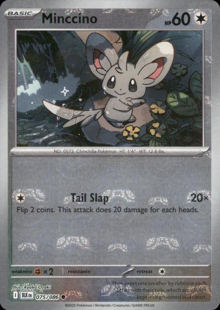 Black Bolt Minccino [Master-Ball] Pokémon card